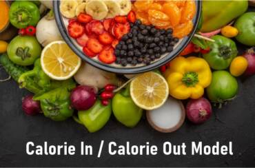 Calorie In/ Calorie Out Model